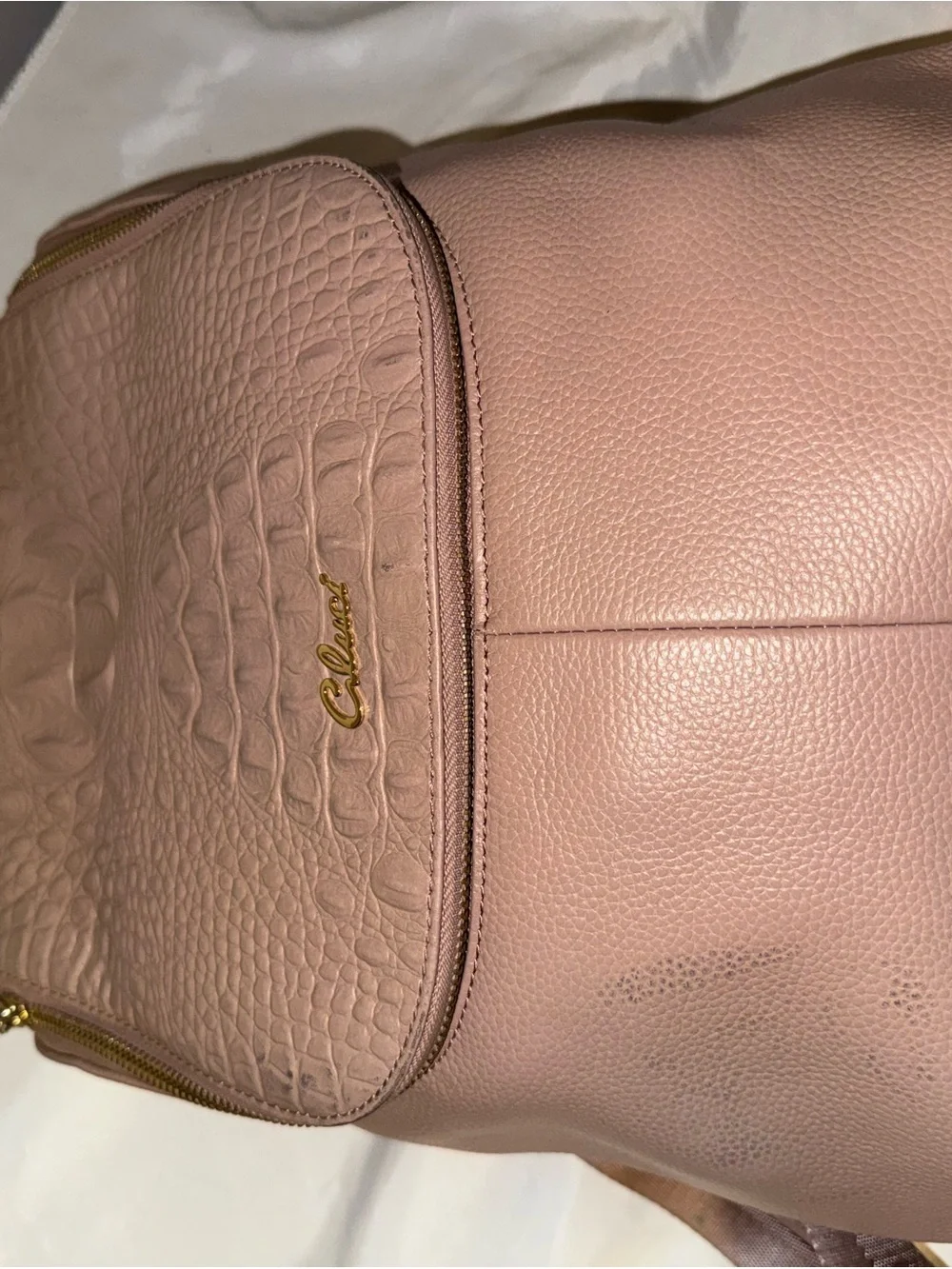 Cluci Vintage Women's Blush Pink Textured Leather Backpack